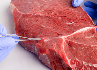 Badania chemiczne mięsa i jego przetworów